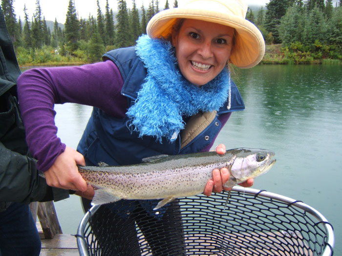 Denali Fishing Lodge Cabin Rental Lodging Best Denali